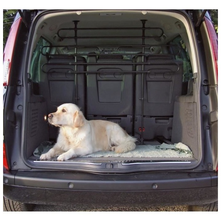 Grille Pour Automobile