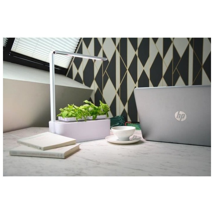 Jardin d'intérieur Viviana avec Kit de démarrage et puce NFC