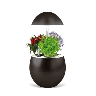 Jardin d'intérieur Vilma avec Kit de démarrage et puce NFC - Couleur