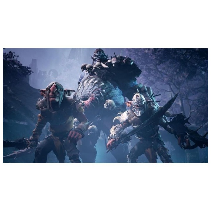 Dungeons & Dragons : Dark Alliance - Day One Edition Jeu PC