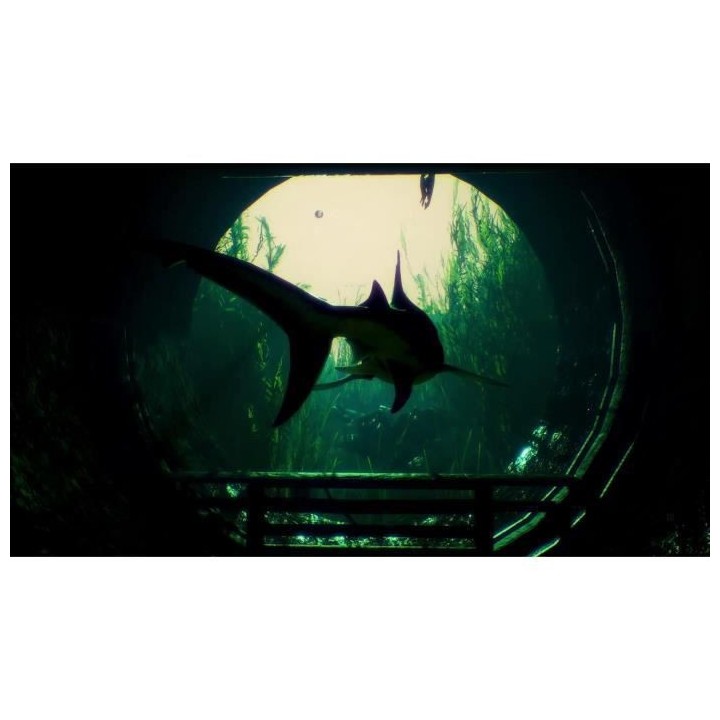 MANEATER - Day One Edition Jeu Switch