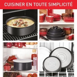 TEFAL INGENIO EXPERTISE Poele L6500302 22cm Tous feux dont induction