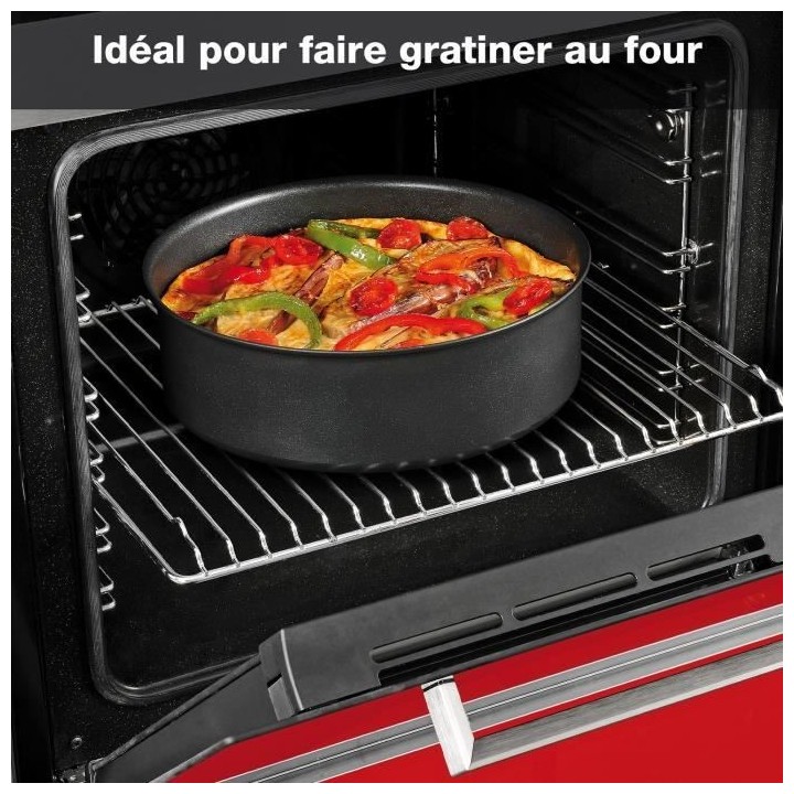 TEFAL L6549802 Ingenio Performance Batterie de cuisine 20p, Revetement