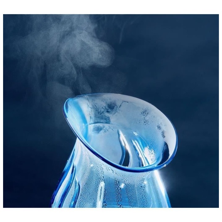 LANAFORM FACIAL CARE - Sauna portatif visage - Enleve impuretés et co