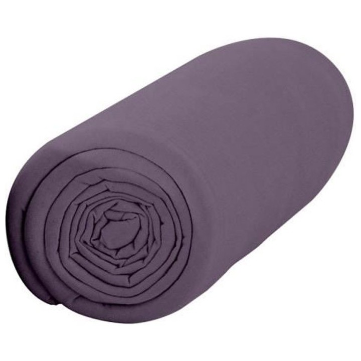 TODAY Drap Housse 160X200 2 personnes Percale uni violet PREMIUM TODAY