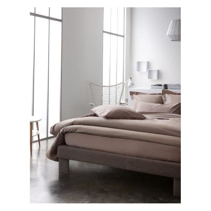 TODAY Drap plat 100% coton - 240x300 cm - Mastic TODAY