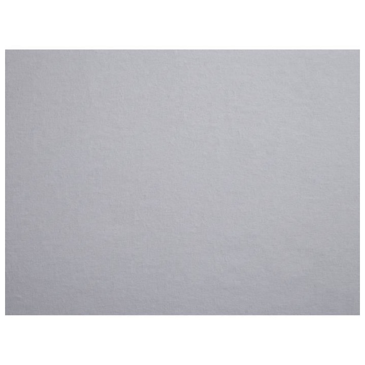 TODAY Protege Matelas / Alese Absorbant Anti-Acariens 140x190/200cm -