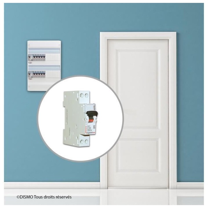 LEGRAND Disjoncteur DNX 4500 - 20A - 230V