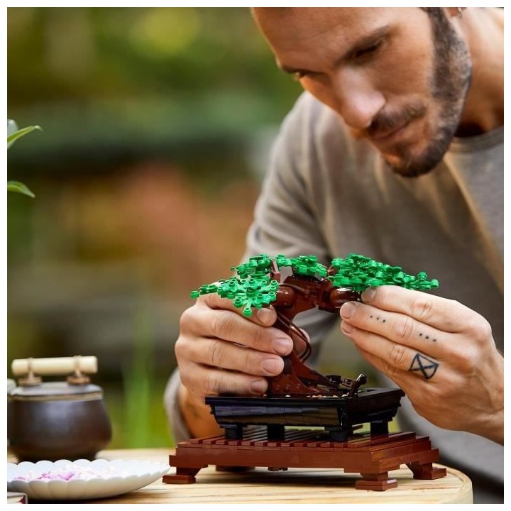 LEGO Icons 10281 Bonsai, Construction, Fleurs Décoratives, Kit Bonsai
