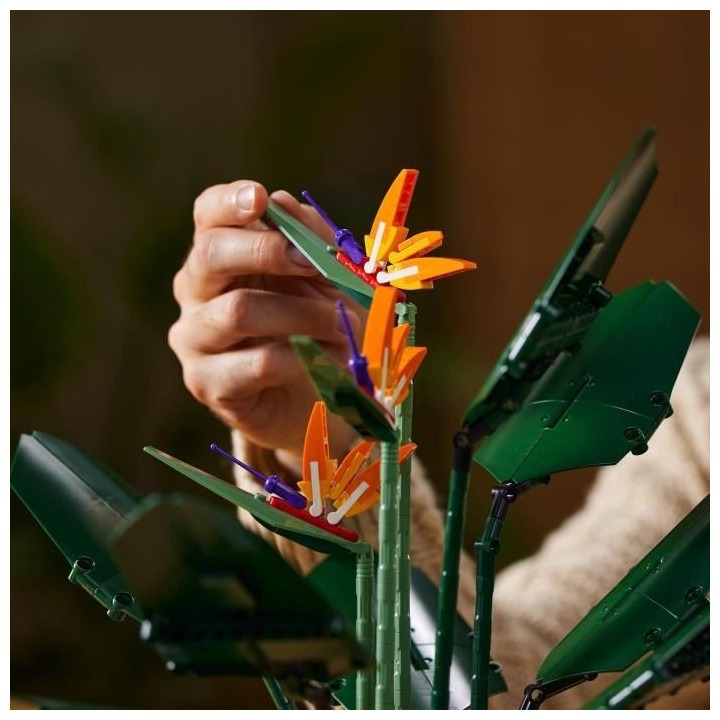 LEGO Icons 10289 L'Oiseau de Paradis, Fleurs Décoratives, Maquette Bo