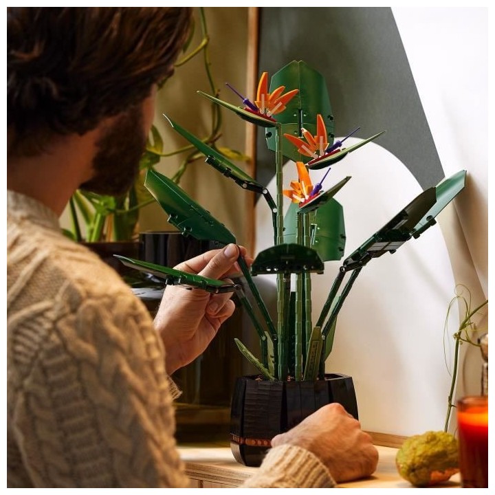 LEGO Icons 10289 L'Oiseau de Paradis, Fleurs Décoratives, Maquette Bo