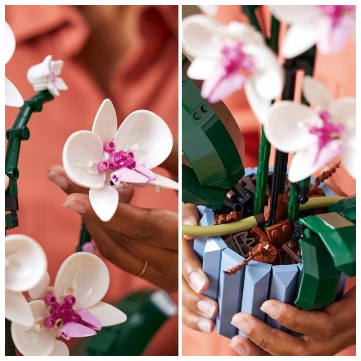 LEGO Icons 10311 L'Orchidée Plantes de Fleurs Artificielles d'Intéri