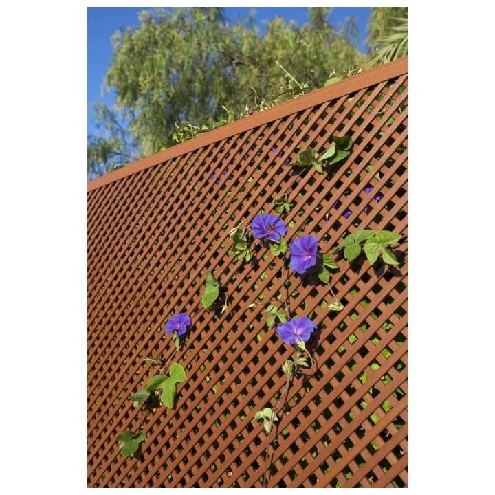 CATRAL - Treillis lop - 0,6mx1,2m - Osier