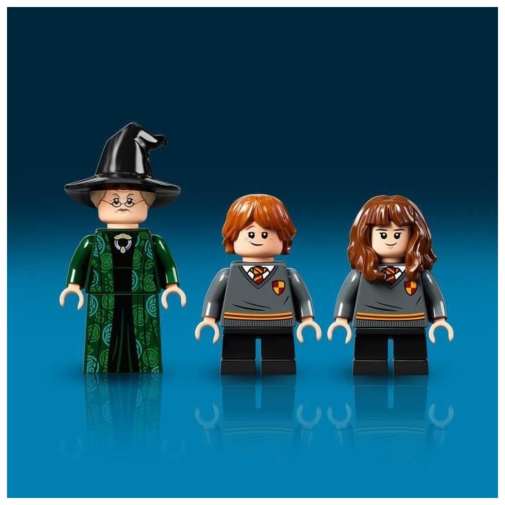 LEGO Harry Potter 76382 Poudlard : le Cours de Métamorphose, Jouet, L