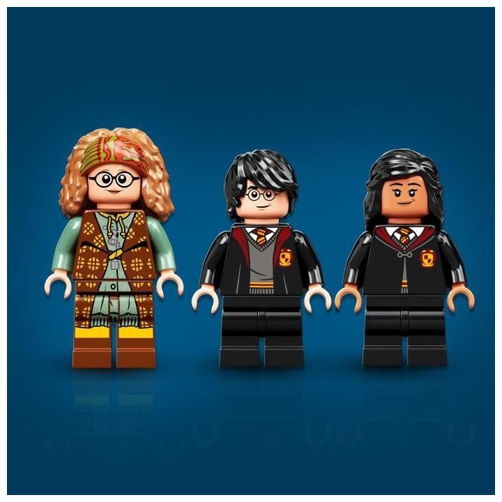 LEGO 76396 Harry Potter Poudlard : Le Cours De Divination, Livre Jouet