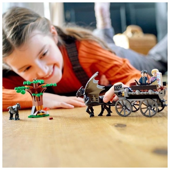 LEGO 76400 Harry Potter La Diligence et les Sombrals de Poudlard, Joue