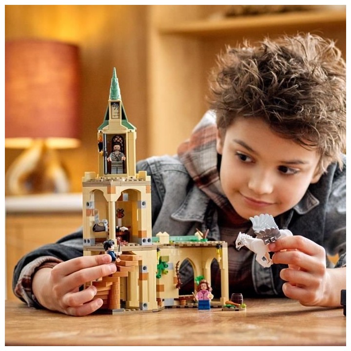 LEGO 76401 Harry Potter La Cour de Poudlard : le Sauvetage de Sirius,