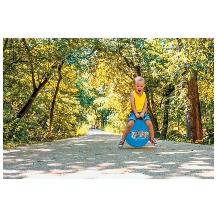 PAT PATROUILLE - Balle Sauteuse Gonflable - 45cm - a partir de 3 ans