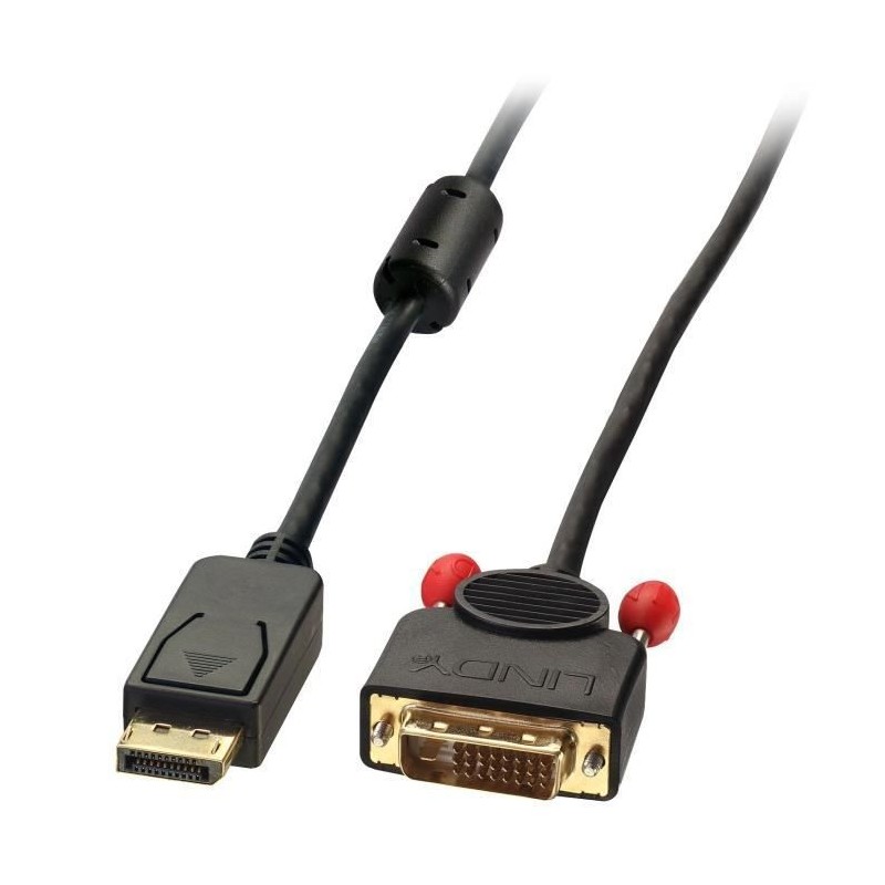 LINDY Câble DisplayPort vers DVI - 2m