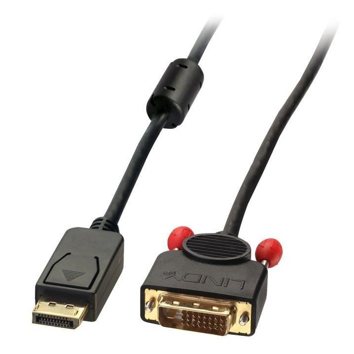 LINDY Câble DisplayPort vers DVI - 2m