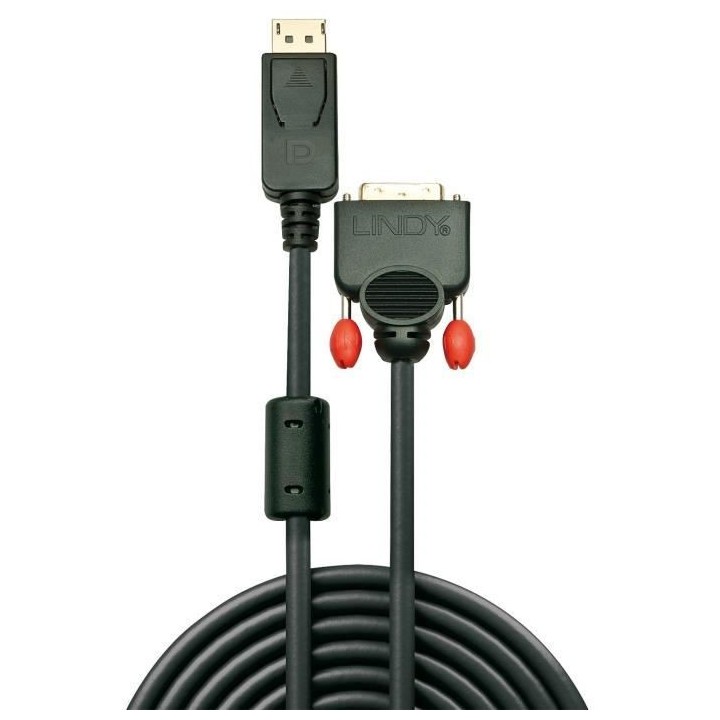 LINDY Câble DisplayPort vers DVI - 2m