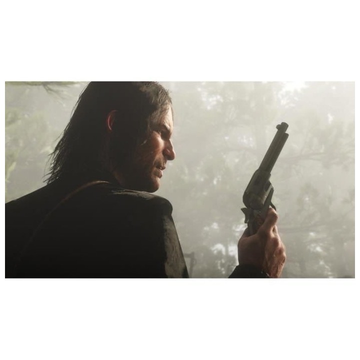 Red Dead Redemption 2 Jeu Xbox One