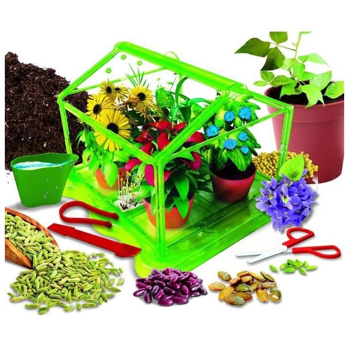 LISCIANI GIOCHI Laboratoire de Botanique EX56187