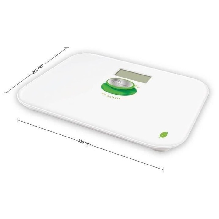 Pese-Personne Green Power