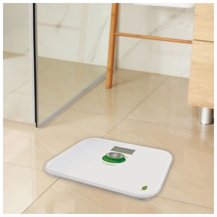 Pese-Personne Green Power