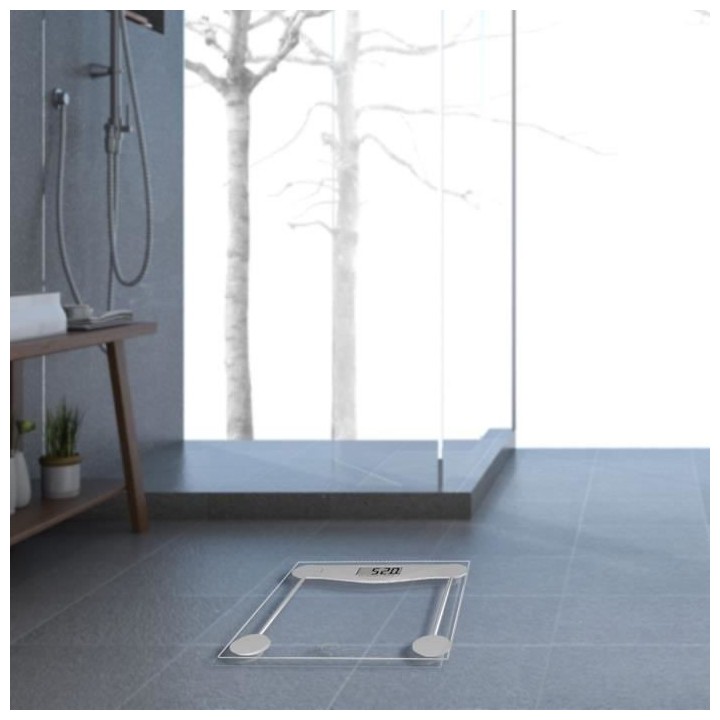 LITTLE BALANCE 8193 SB2 Electronique, Pese-personne électronique, Pla