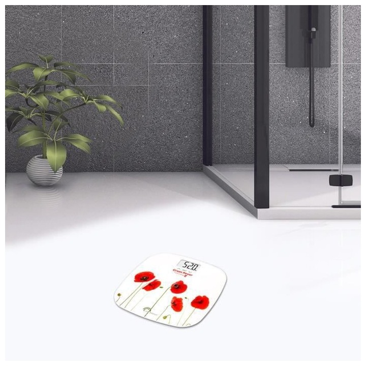 LITTLE BALANCE 8449 IMC Soft USB, Pese personne sans pile, Rechargeabl