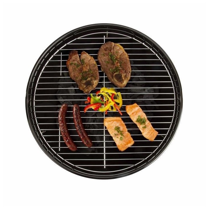 LIVOO DOC205 - Fumoir 2 en 1