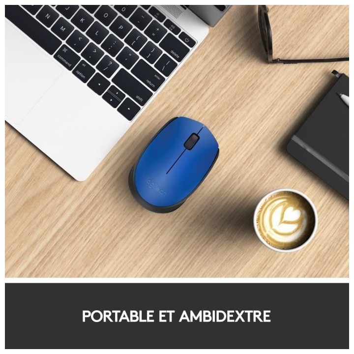 LOGITECH - Souris sans fil ambidextre M171 - Bleu