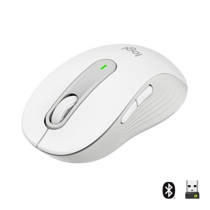 Souris Sans Fil Logitech Signature M650 - Silencieuse, Bluetooth, Bout