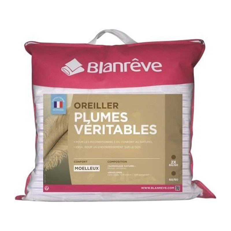 BLANREVE Lot de 2 oreillers Plumes - 60x60 cm