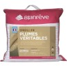 BLANREVE Lot de 2 oreillers Plumes - 60x60 cm