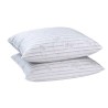 BLANREVE Lot de 2 oreillers Plumes - 60x60 cm