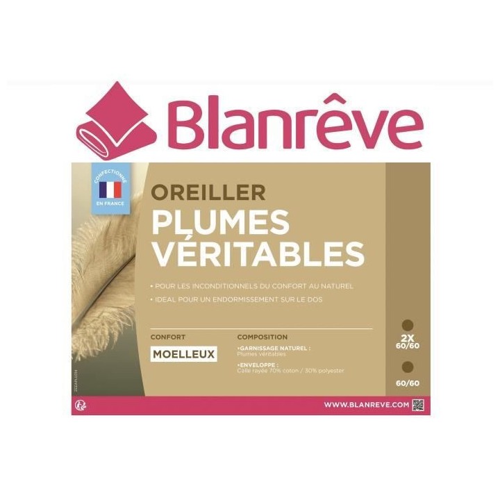 BLANREVE Lot de 2 oreillers Plumes - 60x60 cm