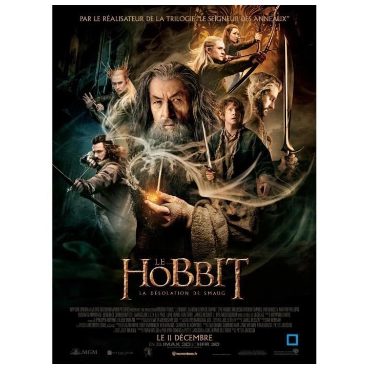 Blu-ray Le Hobbit : La désolation de Smaug - Version longue