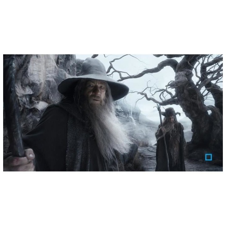 Blu-ray Le Hobbit : La désolation de Smaug - Version longue