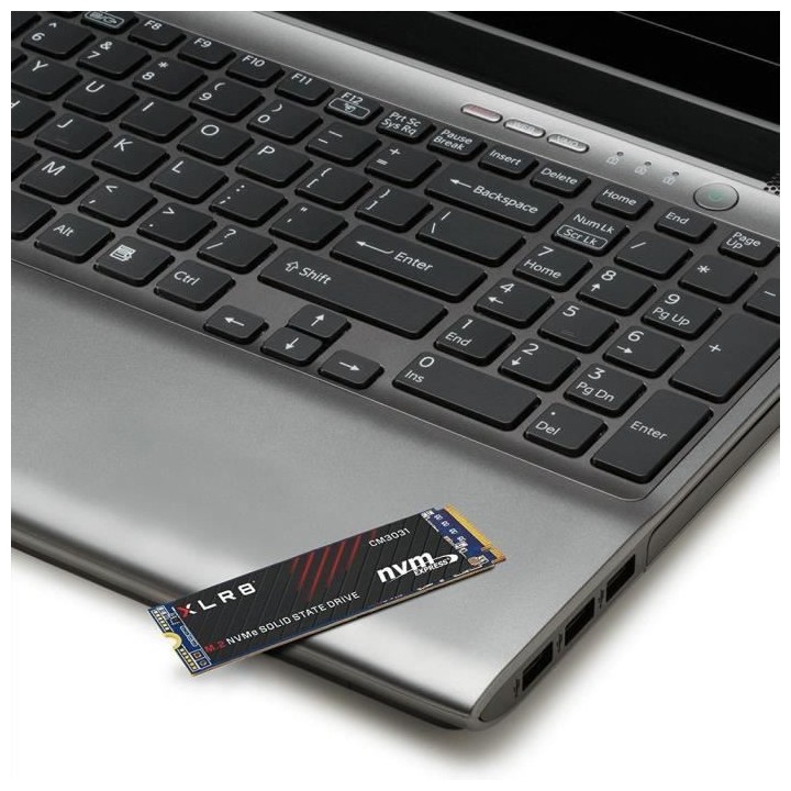 Disque SSD Interne - PNY - SSD CM3031 M.2 GEN3 - 500 GB - (M280CM3031-