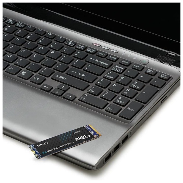 Disque SSD Interne - PNY - CS1030 M.2 GEN3 - 250 Go - NVMe (M280CS1030