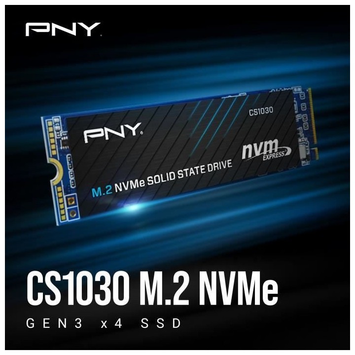 Disque SSD Interne - PNY - CS1030 M.2 GEN3 - 250 Go - NVMe (M280CS1030