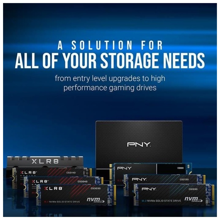 PNY - CS1030 - SSD - 500 Go - M.2 2280 - M280CS1030-500-RB