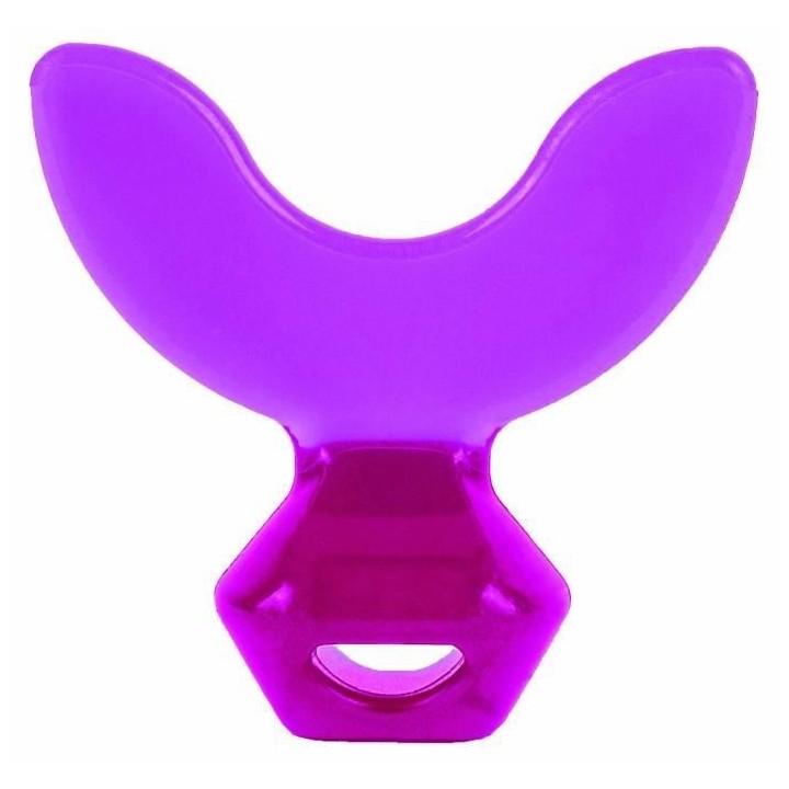 Machouyou Dispositif 1eres dents Prune dés 2 ans