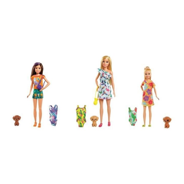 BARBIE Skipper et son Chiot