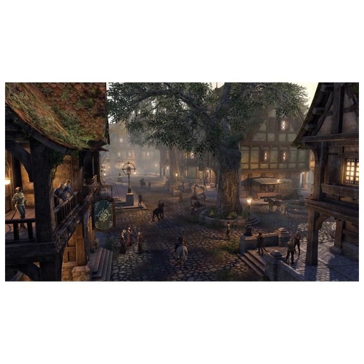 The Elder Scrolls Online : Blackwood Collection Jeu PS4