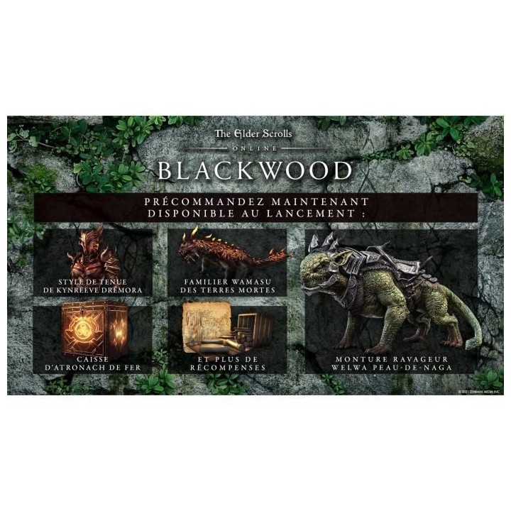 The Elder Scrolls Online : Blackwood Collection Jeu Xbox One et Xbox S
