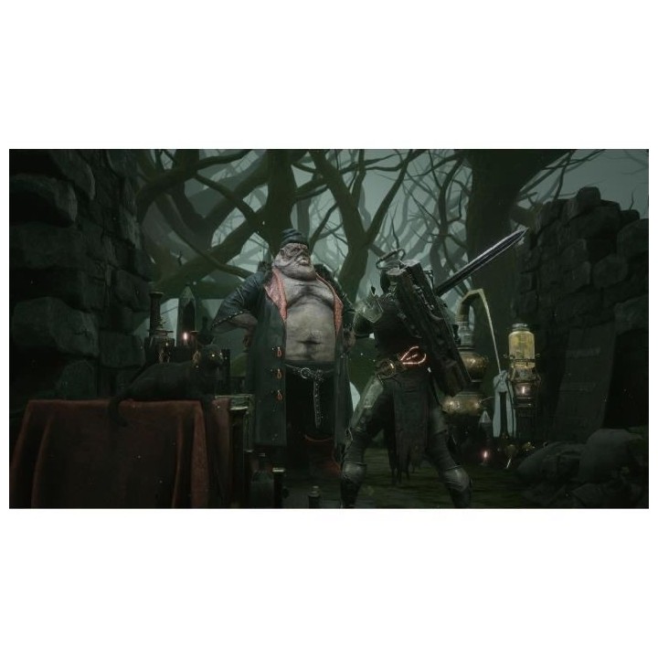 Mortal Shell Jeu PS4