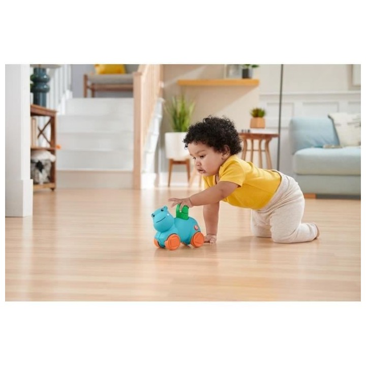 Fisher-Price Coffret j'apprends les mouvements - Des 9 mois